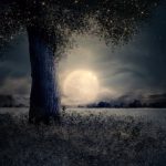 Sennik Pełnia (księżyca) znaczenie snu